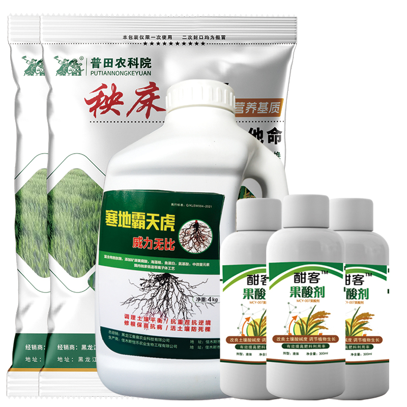 紲 